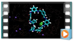 Single water molecule forced through a polyamide membrane nanopore...