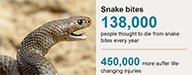 Global snakebite statistics...
